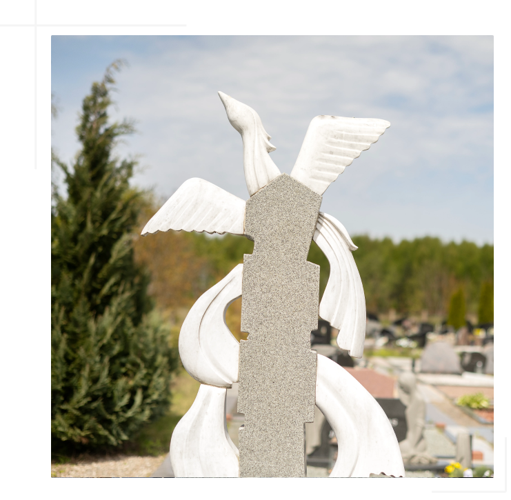 Kapavieciu-projektavimas